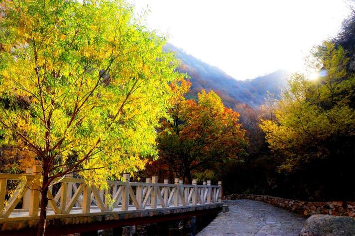 天津九龙山风景区-图3