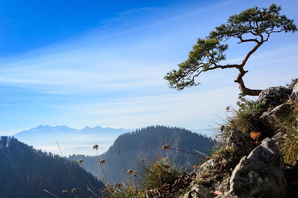 神龙顶风景区-图2