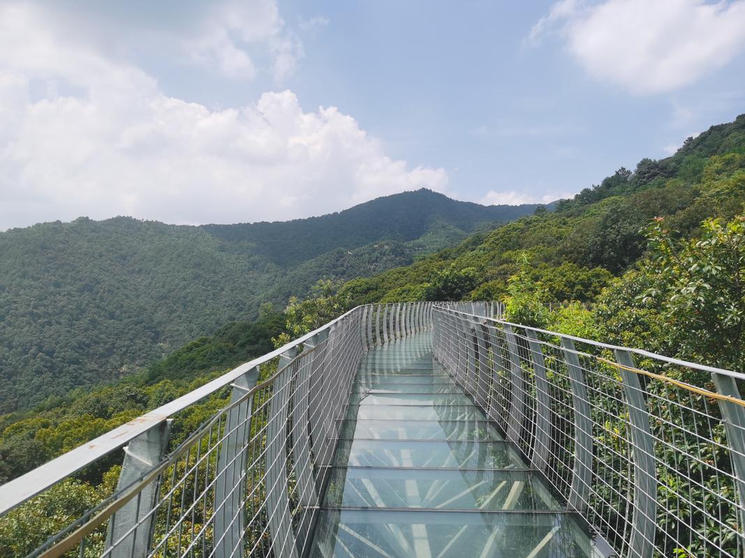 江西大余丫山风景区-图1