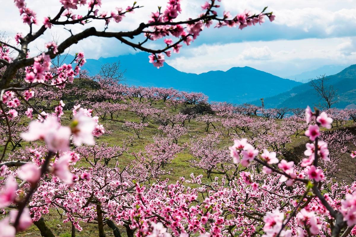 桃花山自然风景区-图3