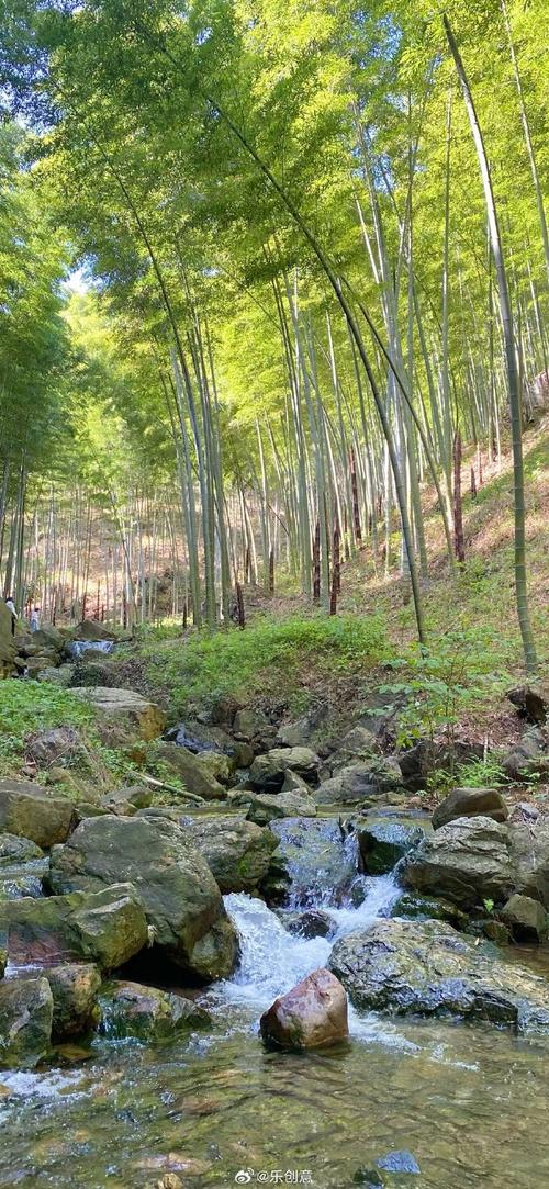 无锡宜兴竹海风景区-图2