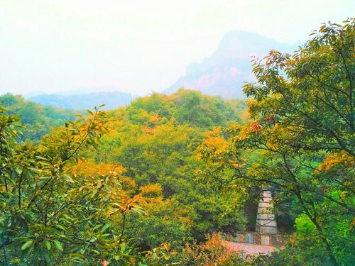 林虑山风景区-图2