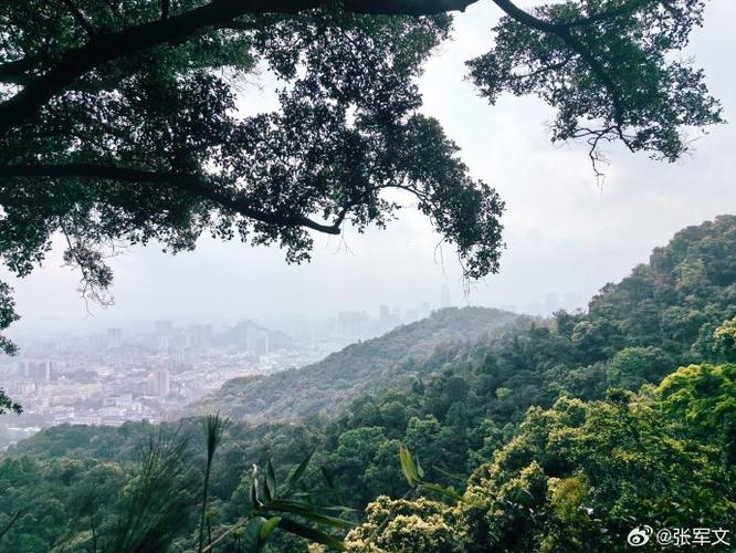 白云山风景区怎么去-图1