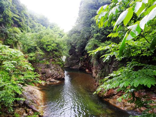 霄坑风景区-图2