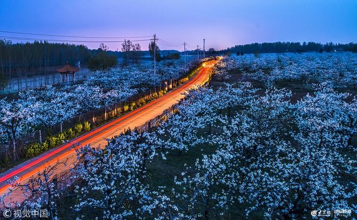 刘村梨园风景区-图2