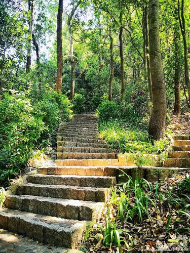 深圳笔架山风景区-图3