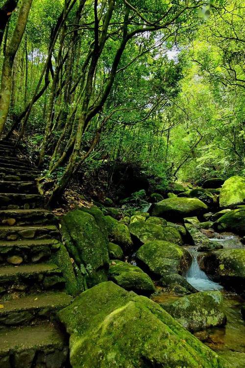 费县仙人洞风景区-图1