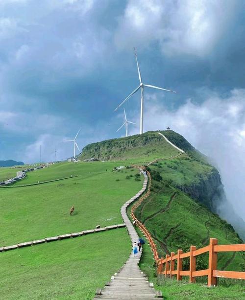 贵州乌蒙大草原风景区-图1