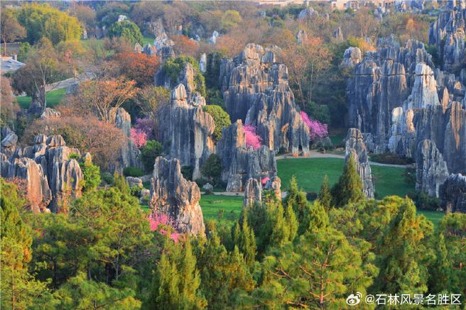 方山石林风景区-图1