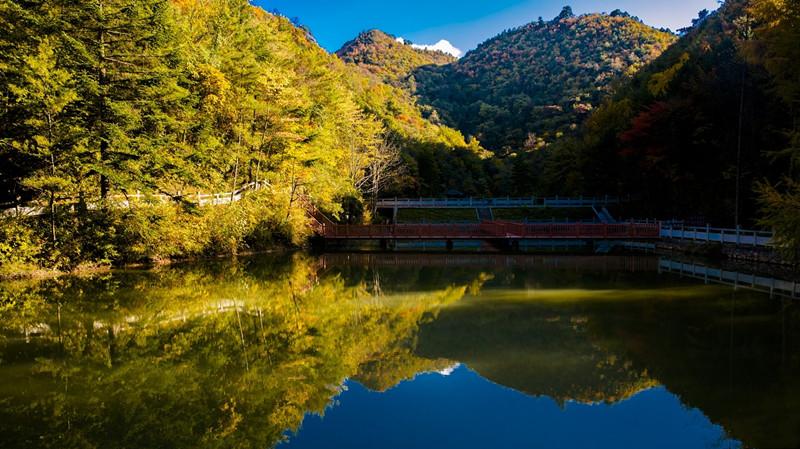 鸳鸯池风景区-图1