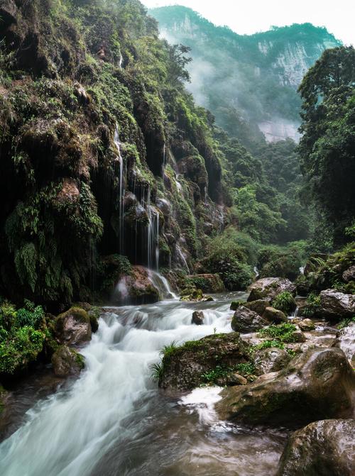 紫江地缝风景区-图2