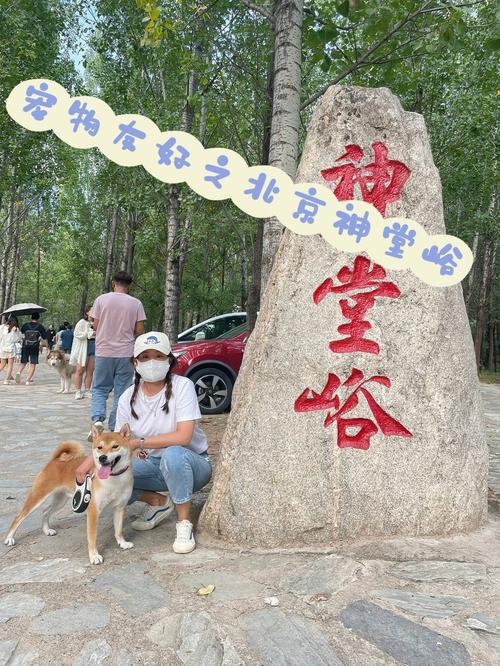 神堂峪自然风景区门票-图1