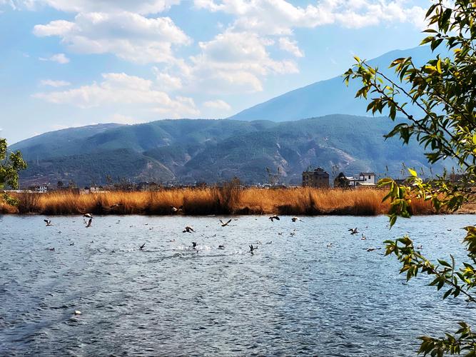 大理西湖风景区-图1