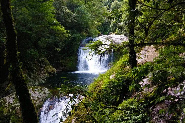 梨树洲风景区-图2