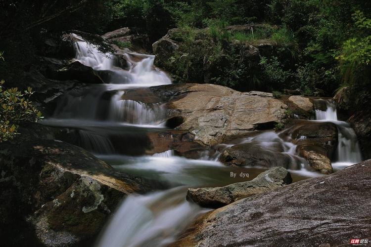 梨树洲风景区-图3