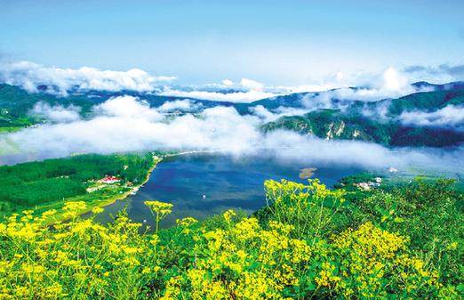 满天星风景区-图1