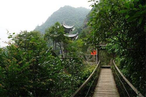 缙云大龙潭风景区-图1