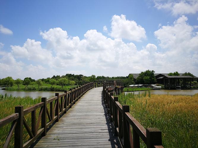 崇明岛风景区-图1