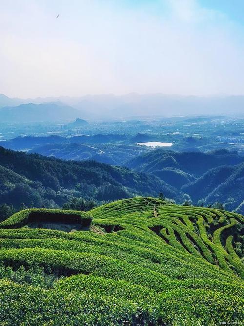 佛山茶山风景区-图1