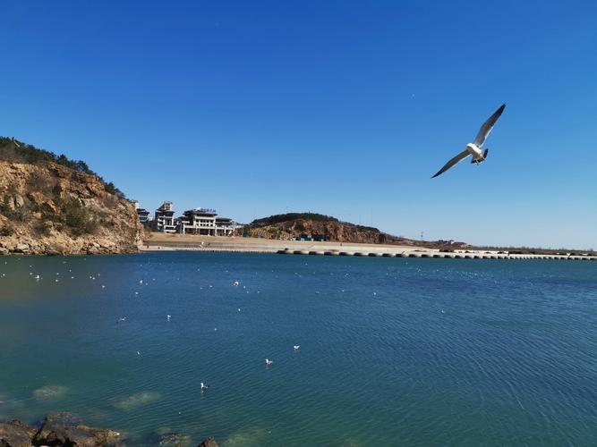 大连市风景区-图1