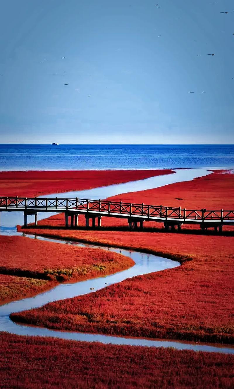 盘锦红海滩风景区电话-图3