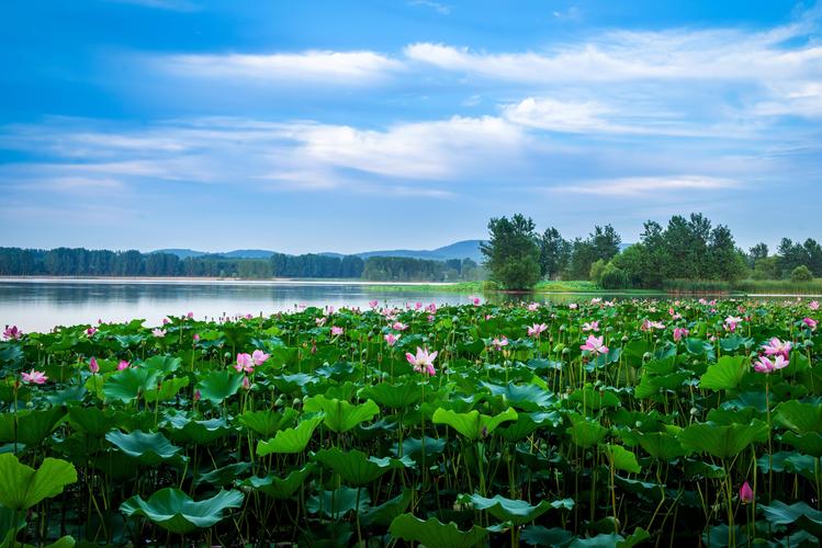 舞钢市风景区-图2