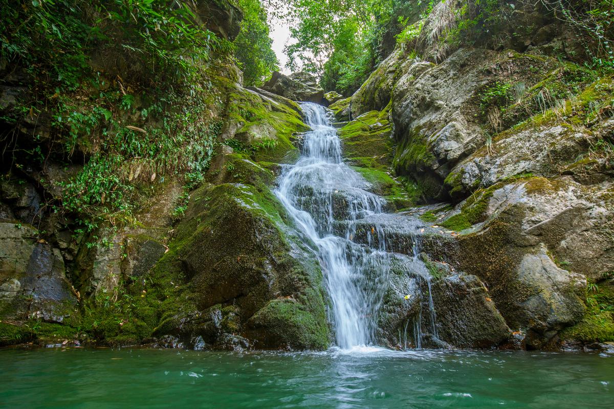 黄山牯牛降风景区-图1