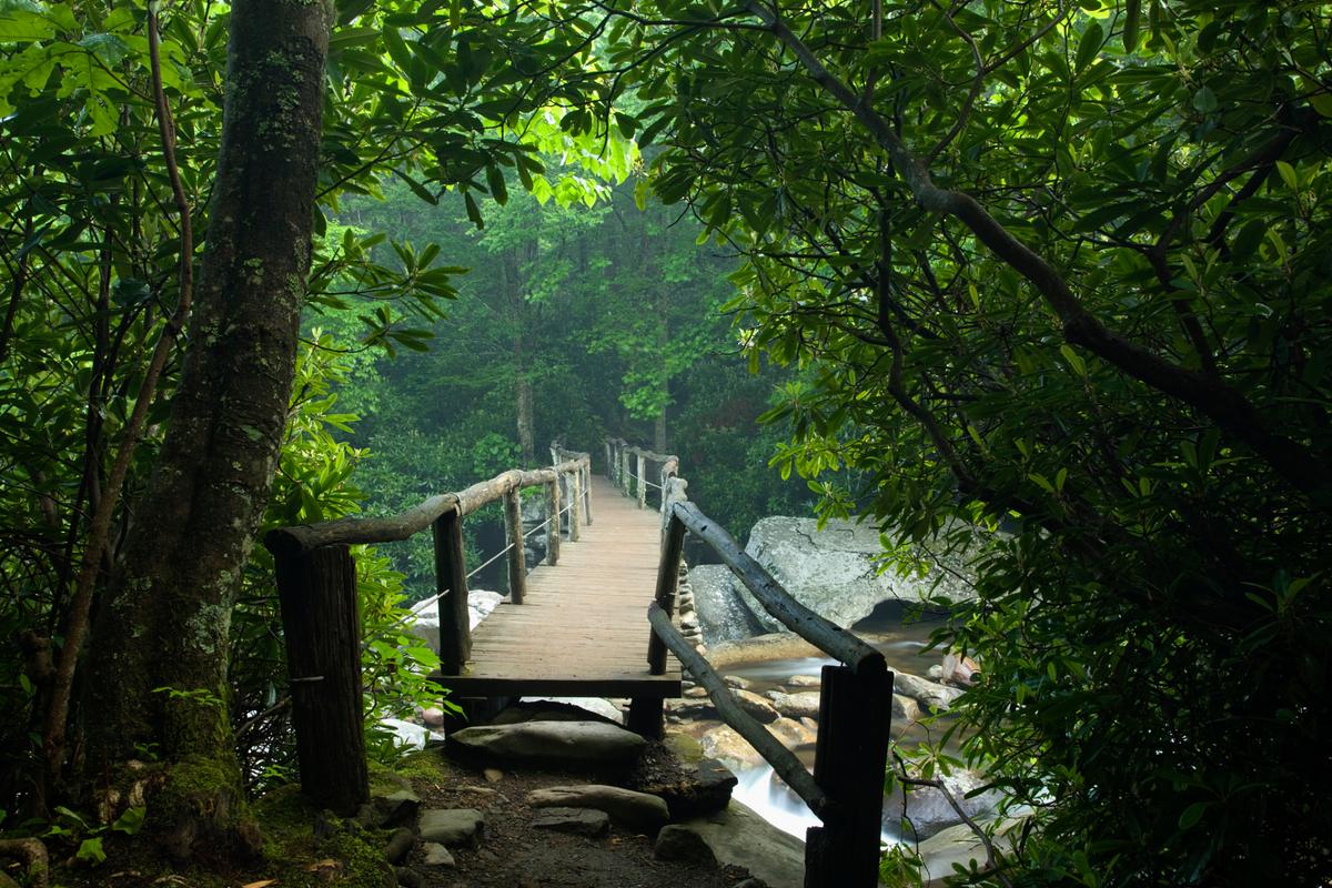 洞口罗溪风景区-图1