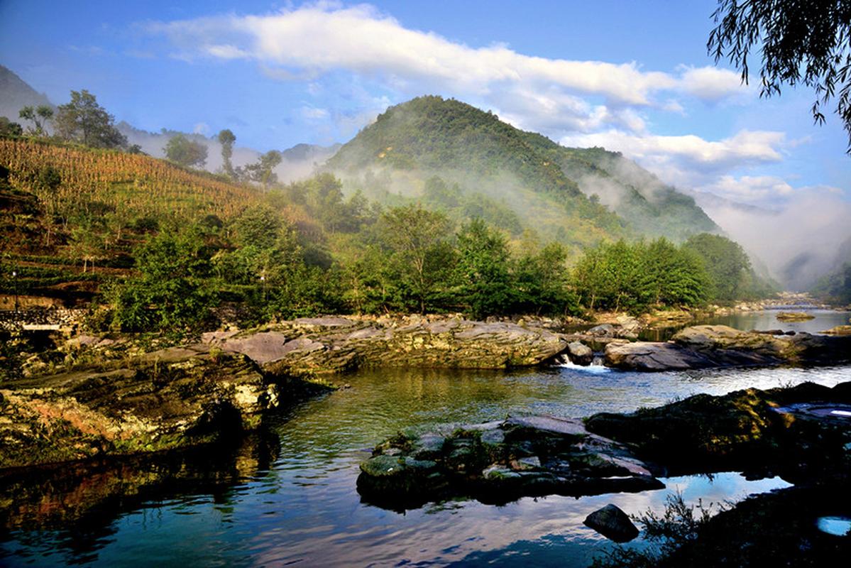 阳坝亚热带生态旅游风景区-图2