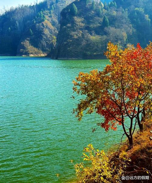 昌乐仙月湖风景区门票-图1