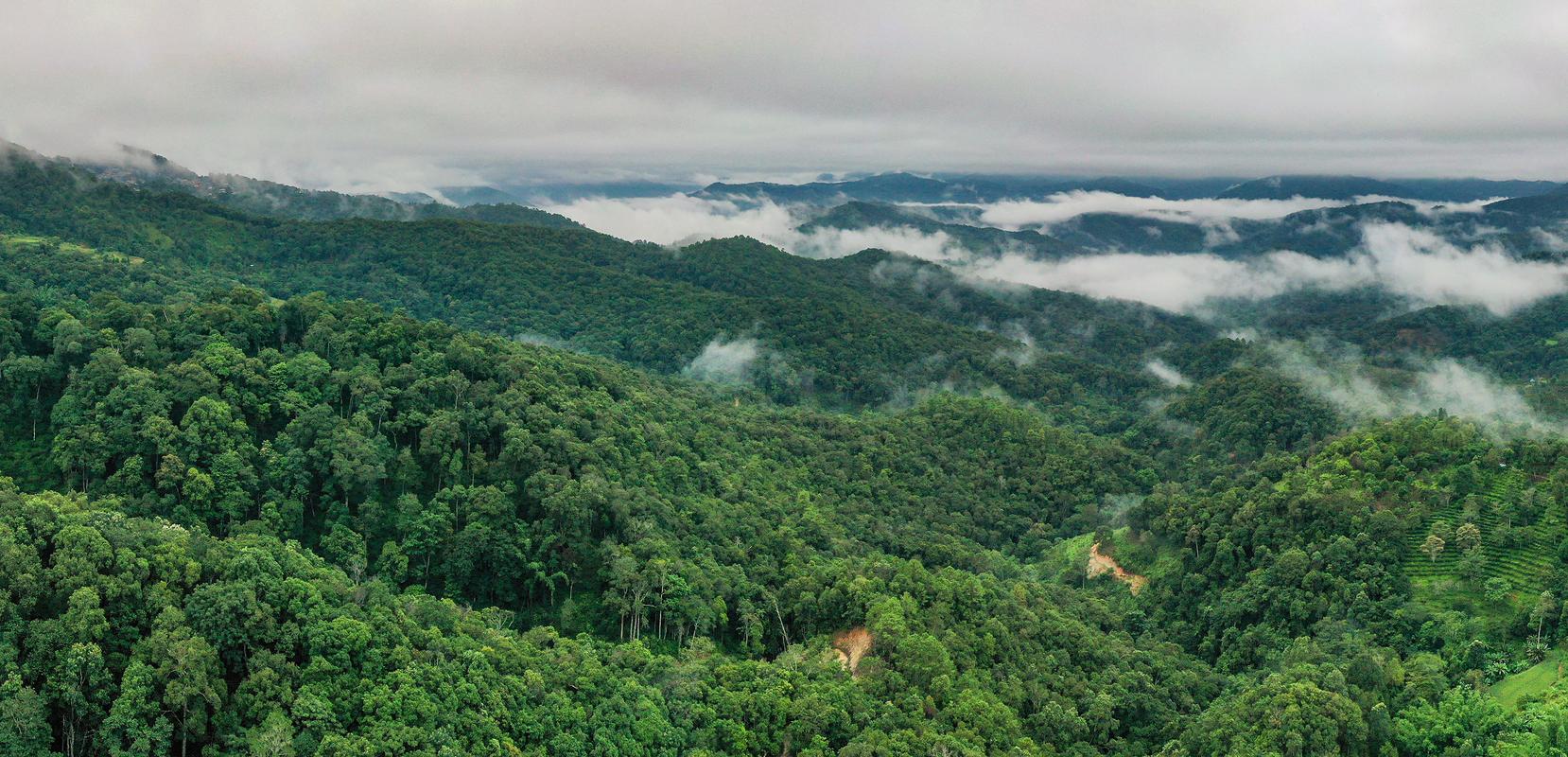 景迈山风景区-图2