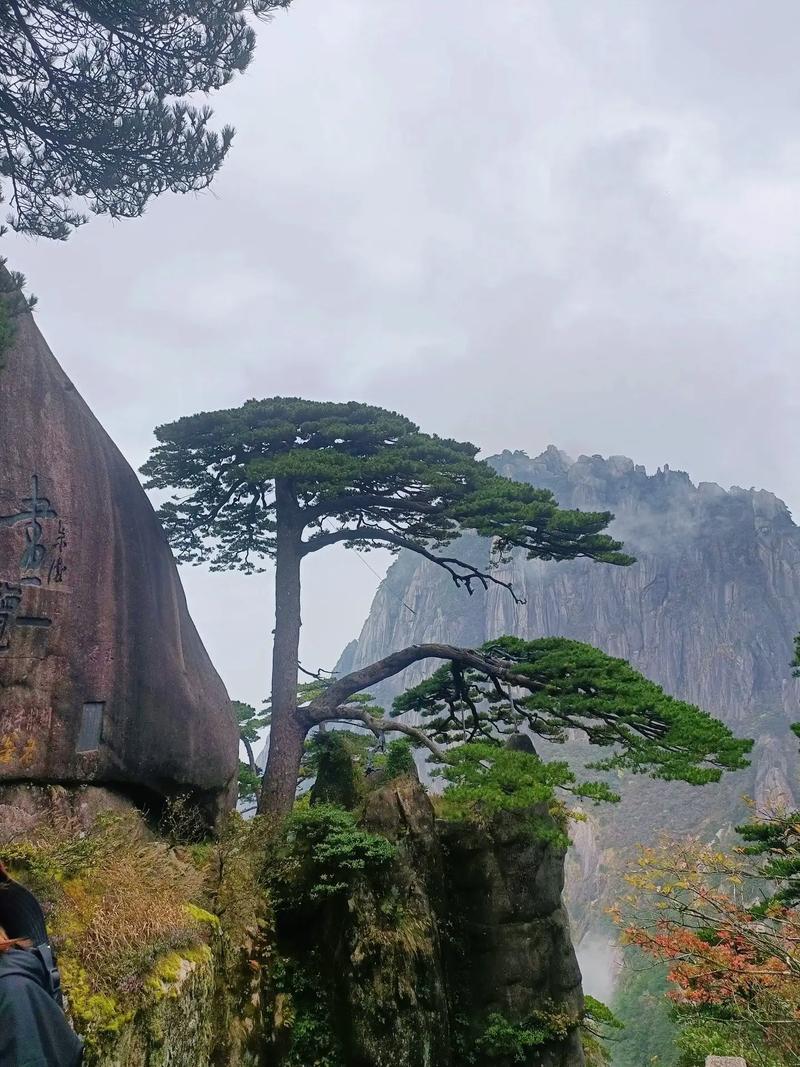 黄山风景区寄存-图2