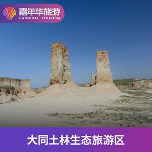 大同土林风景区门票多少钱-图2