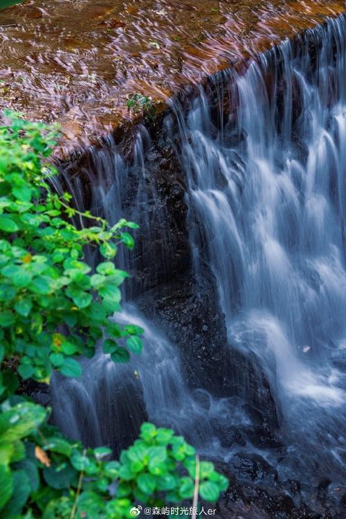 浙江花溪风景区-图2