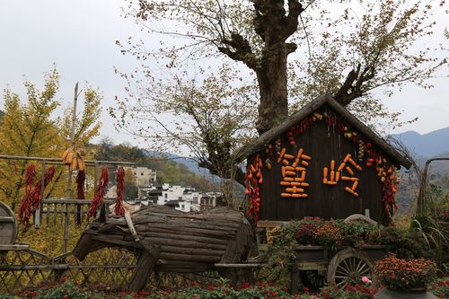 婺源篁岭风景区-图2