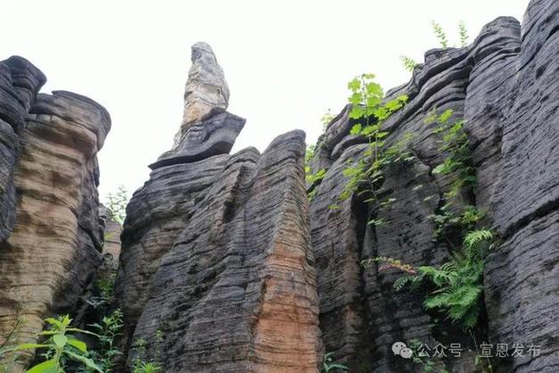 宣恩罗圈岩风景区-图2