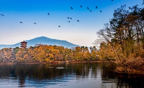 汉中市南湖风景区-图2