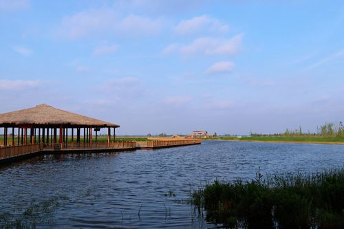 河北白洋淀风景区-图3