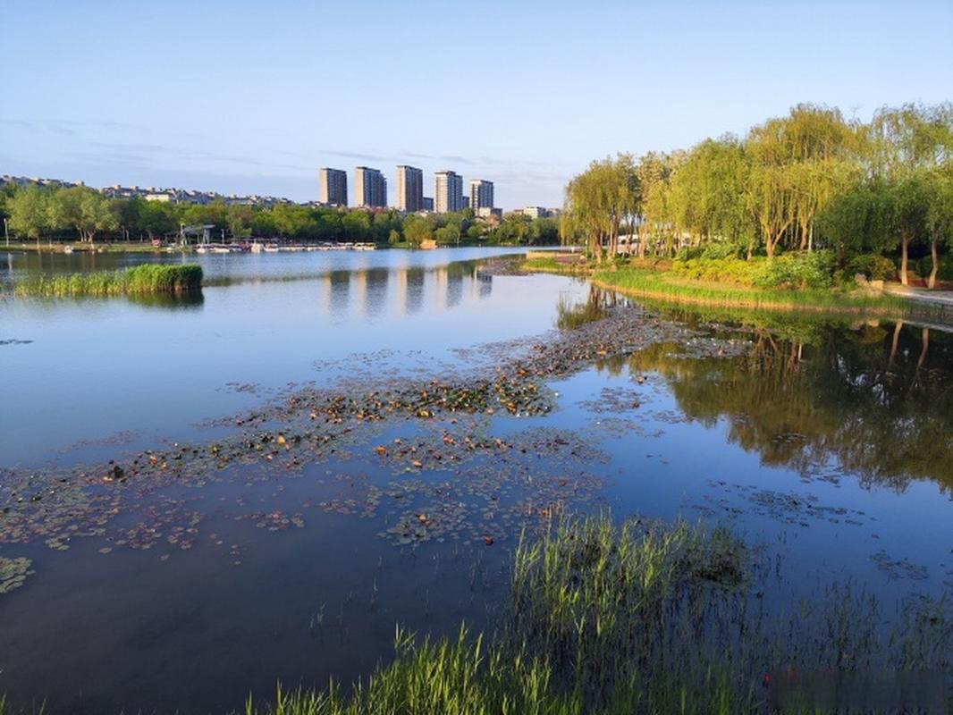 桓台红莲湖风景区介绍-图3