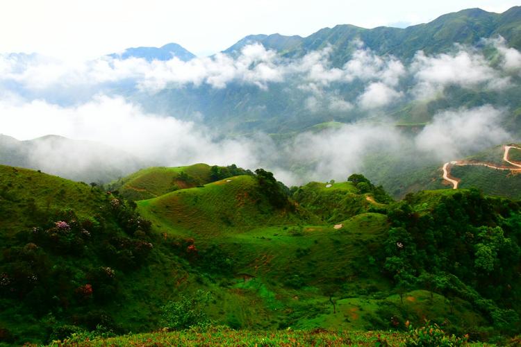 双滘鸡笼顶风景区-图2