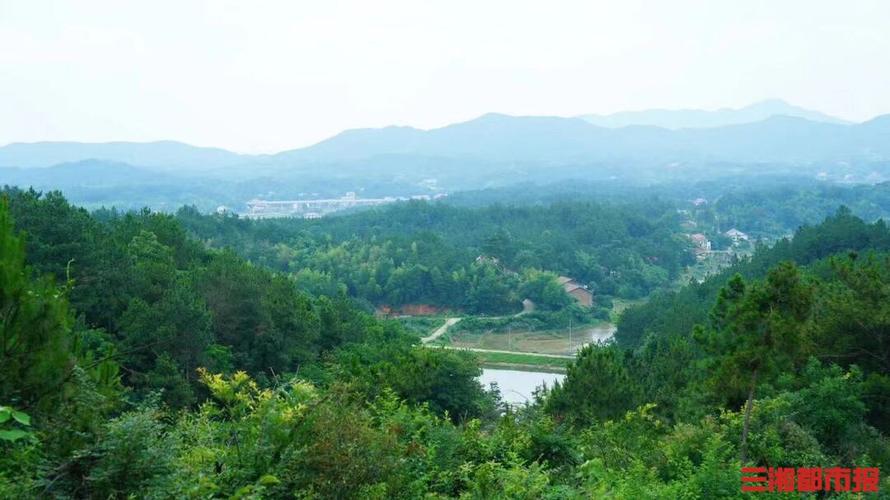 衡山野梅谷风景区-图2