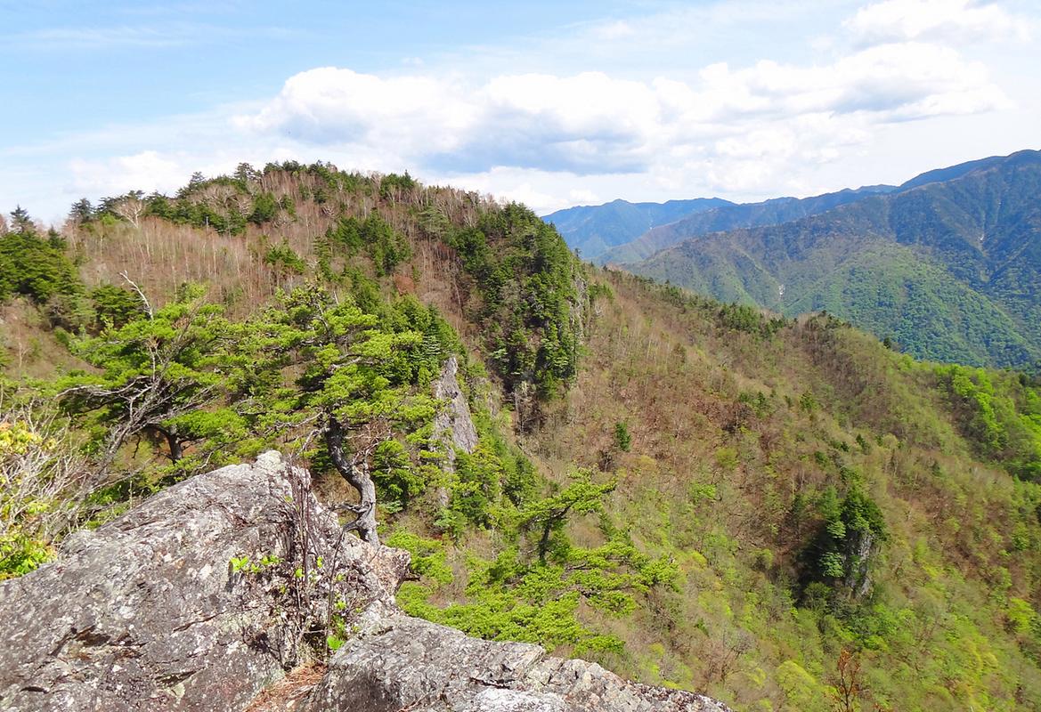 新平哀牢山风景区-图1