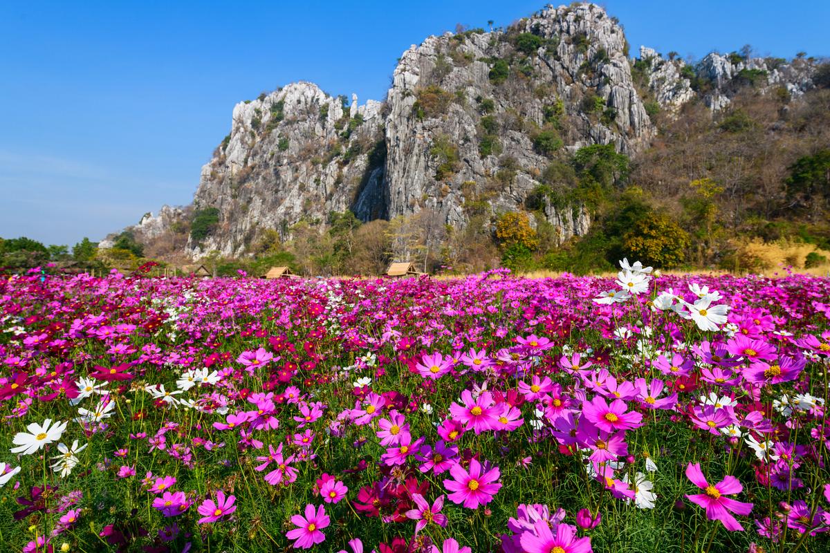 芜湖丫山风景区图片-图1