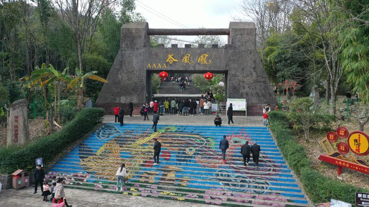 师宗凤凰谷风景区门票-图2