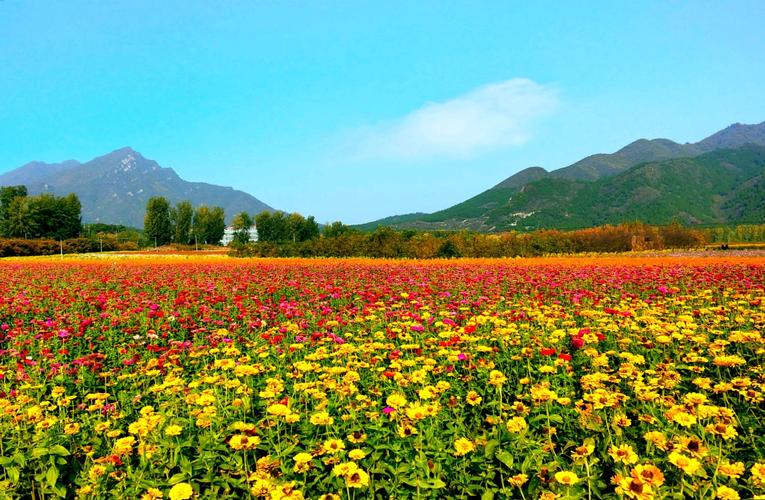 怀柔百合谷风景区-图2