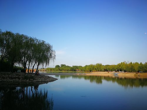 德州减河湿地风景区-图1