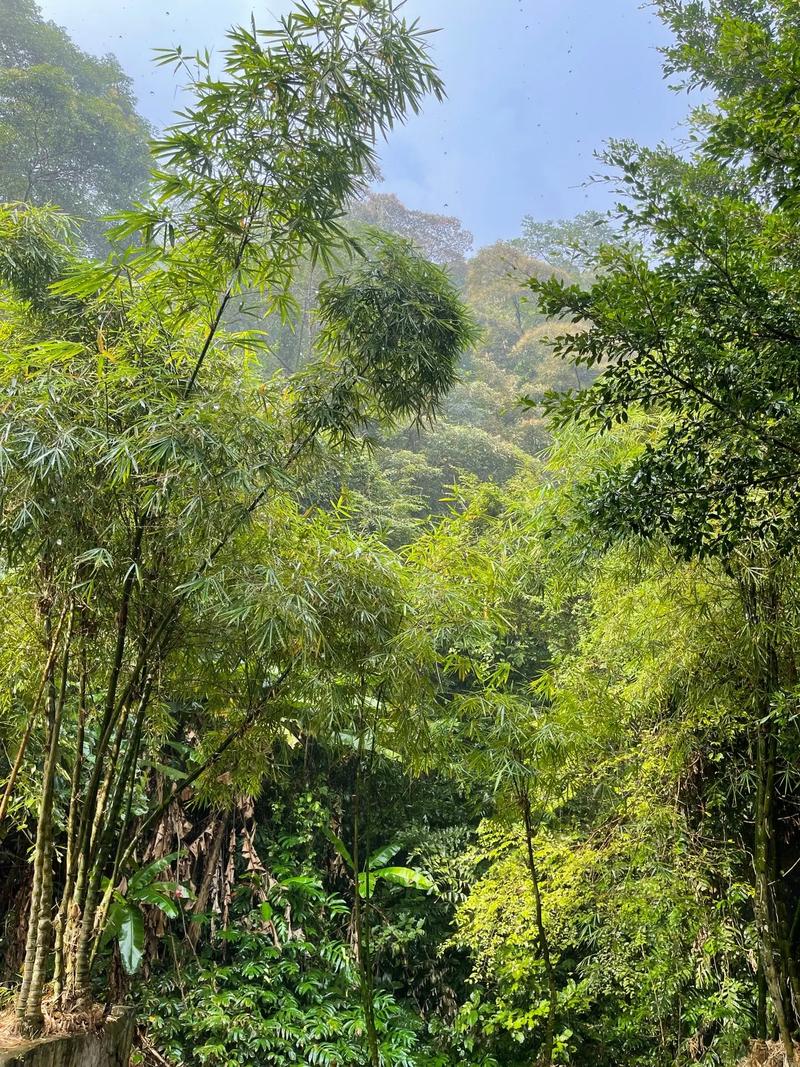 天堂顶风景区怎样去-图3