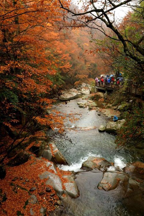 光雾山风景区电话-图1