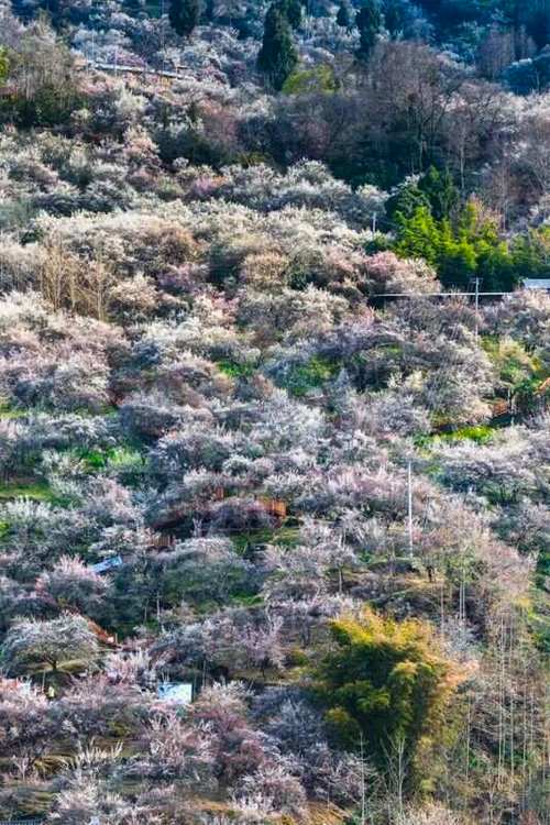 四川虎牙风景区-图2