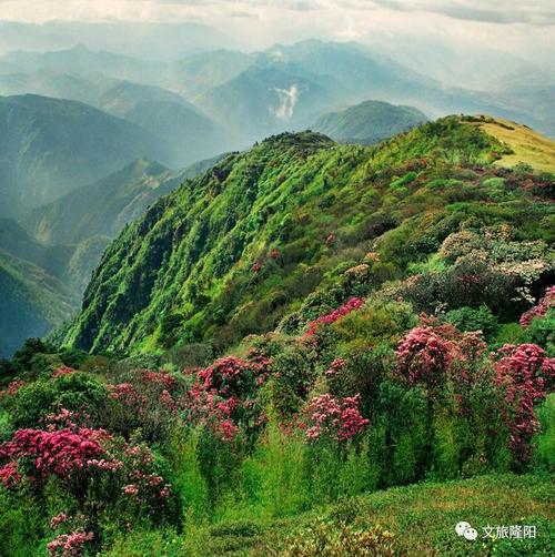 保山百花岭风景区-图1